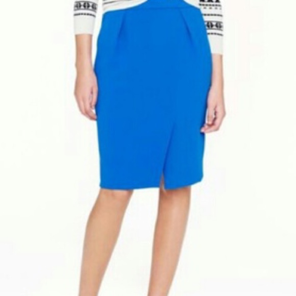 J. Crew Blue Skirt